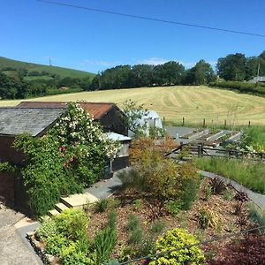 King Room Garden View